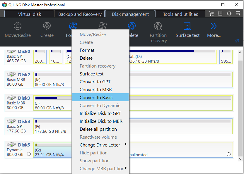 Dynamic Disk Converter